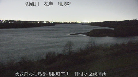 tonos2026010821_image