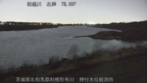 tonos2026010823_image