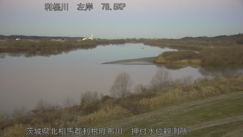 tonos2026010907_image