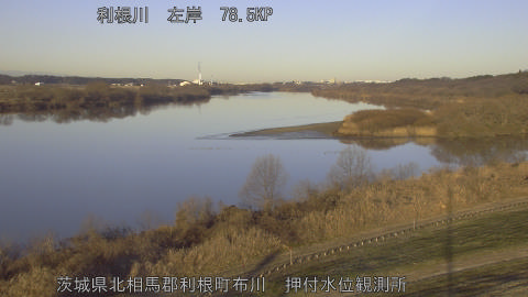 tonos2026010908_image