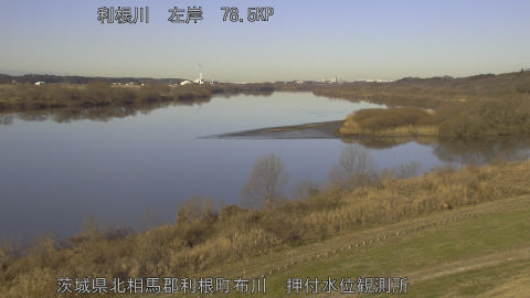 tonos2026010909_image