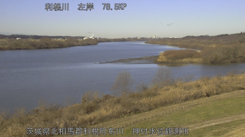 tonos2026010910_image