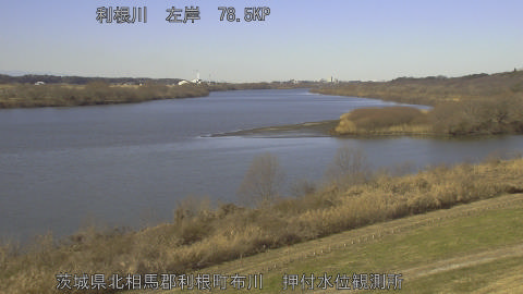 tonos2026010911_image