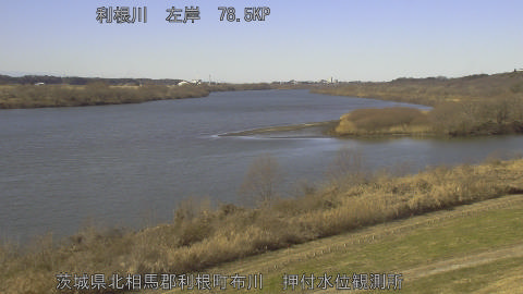 tonos2026010912_image