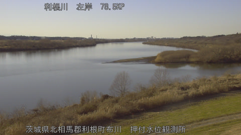 tonos2026010915_image