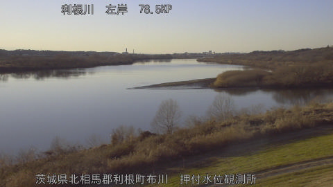 tonos2026010916_image