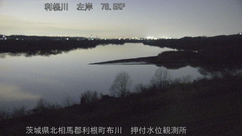 tonos2026010918_image