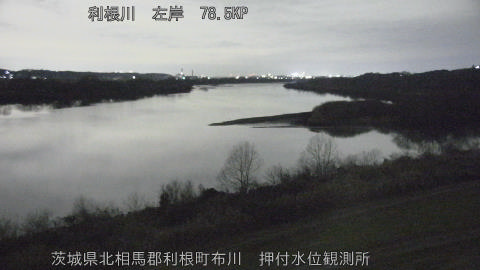 tonos2026010919_image