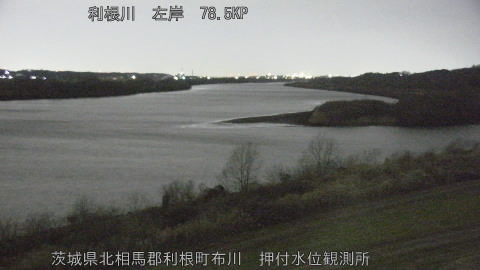 tonos2026011103_image