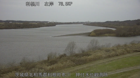 tonos2026011107_image