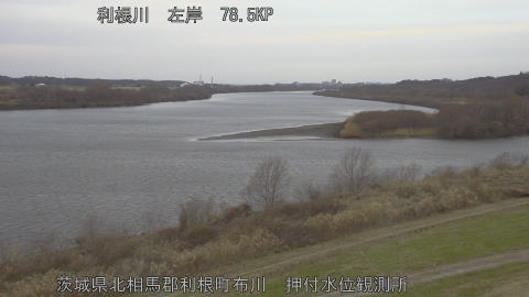 tonos2026011108_image