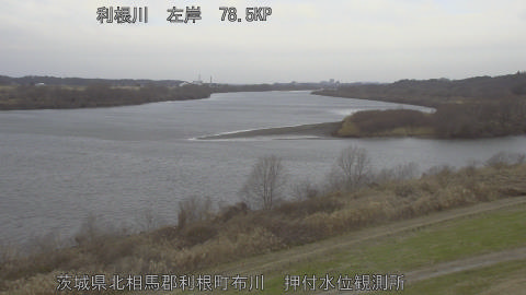 tonos2026011109_image