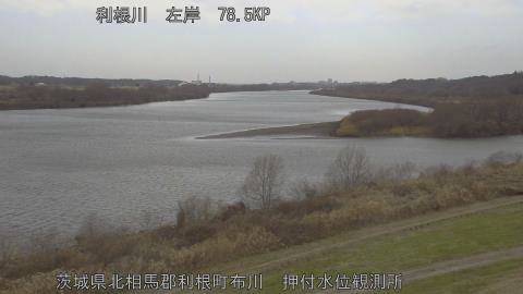 tonos2026011110_image