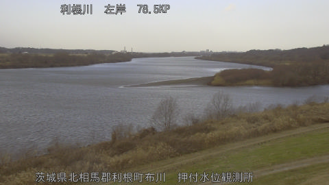 tonos2026011111_image