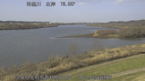 tonos2026011112_image