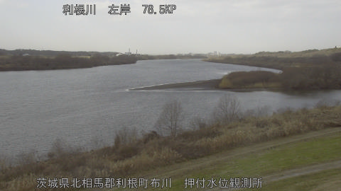 tonos2026011113_image