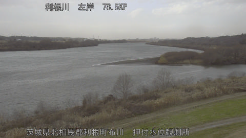 tonos2026011114_image