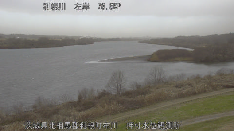 tonos2026011115_image