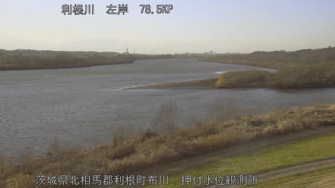 tonos2026011116_image