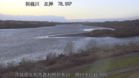 tonos2026011117_image