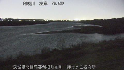 tonos2026011119_image