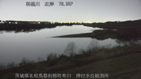 tonos2026011205_image