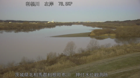 tonos2026011207_image