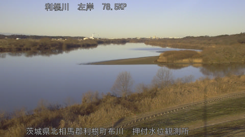 tonos2026011208_image