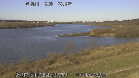 tonos2026011209_image