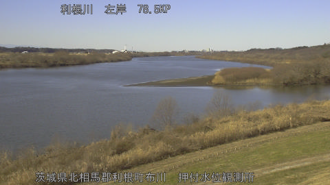 tonos2026011211_image