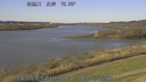 tonos2026011212_image