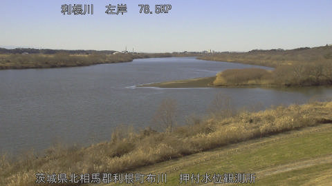 tonos2026011213_image