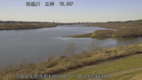 tonos2026011214_image