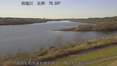 tonos2026011215_image