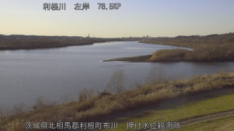 tonos2026011216_image