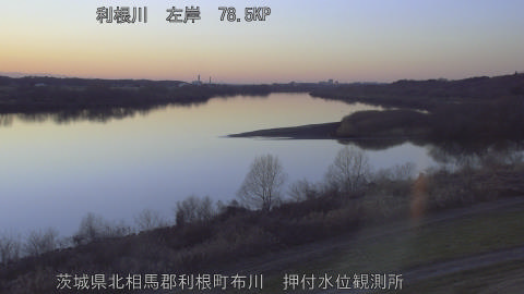 tonos2026011217_image