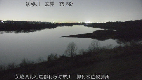 tonos2026011223_image