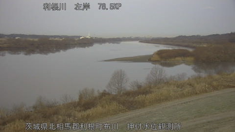 tonos2026011307_image