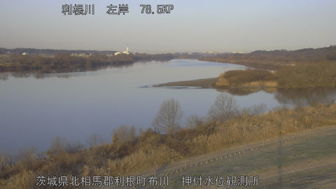 tonos2026011308_image