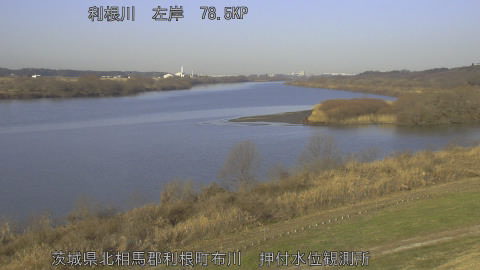 tonos2026011309_image