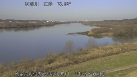 tonos2026011310_image