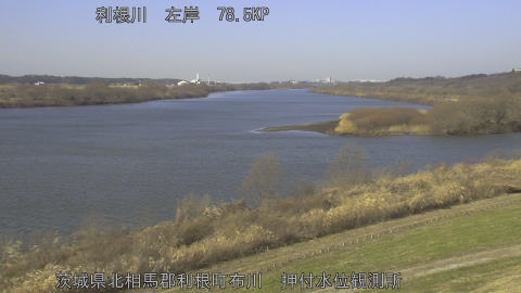 tonos2026011311_image