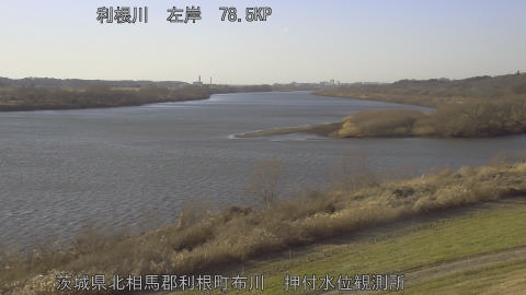 tonos2026011315_image