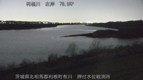 tonos2026011319_image