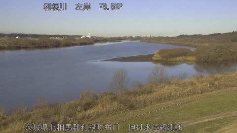 tonos2026011409_image