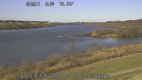 tonos2026011410_image