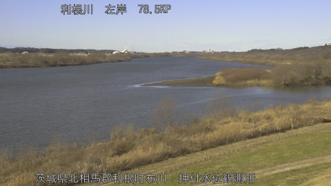 tonos2026011411_image