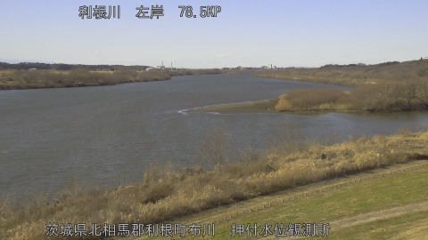 tonos2026011413_image