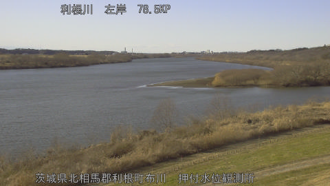 tonos2026011414_image