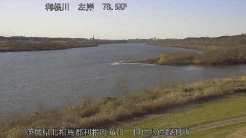 tonos2026011415_image